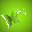 Green Butterflies Background