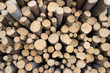 Spruce logs wood