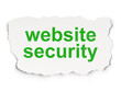 Security concept: Website Security on Paper background
