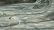 Foam on the water in the river