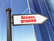 Security concept: Access Granted on Building background