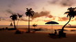 Woman on the beach with suitcases, sunset, camera panning