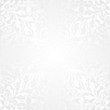 white background