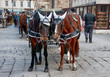 Traditional vienna fiaker (horse carriage)