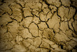 dry land