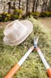 straw hat on the hay