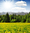 Photo: Triglav National Park - Julian Alps, Slovenia Triglav National Park - Julian Alps, Slovenia