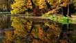 Video: Eiche im Herbst vid 06 Eiche im Herbst vid 06
