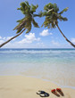 coeur de cocotiers, duo romantique aux Seychelles
