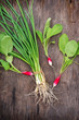 Organic chive and radishes