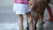 Kids grooming a shaggy dog