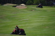 golf - entretien de green