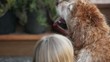 Kids grooming a shaggy dog