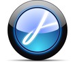 PDF download button