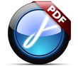 PDF download button