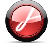 PDF download button