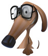 Fun dog