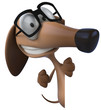 Fun dog