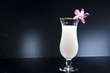 Pina Colada