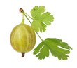 Ripe gooseberry