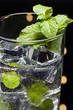 Green Mojito cocktail