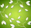 Vector: vector background with twigs and leaves on the green background vector background with twigs and leaves on the green background