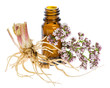 Baldriantropfen (Valeriana officinalis) mit Wurzelstock und Blü