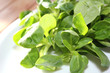Feldsalat (Valerianella)