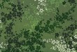 Foto: Fond fleuri vert. Fond fleuri vert.