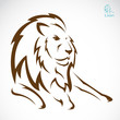 Vector image of an lion on white background