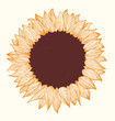 Sunflower. Hand drawn beautiful flower