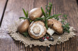 Heap of brown Mushrooms