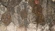 Stone Wall Background
