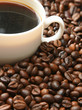 coffee beans with white cup