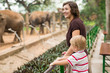 Being in the zoo