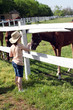 little girl with horses farm scene