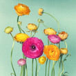 Flower arrangement of ranunculuson