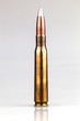 Single Bullet