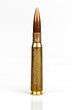 Single Bullet