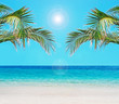 palms and blue water