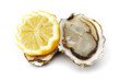 Foto: Oyster and lemon on white Oyster and lemon on white