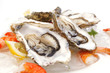 Quadro Fresh seafood on ice