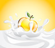 Yellow apple splashed in milk