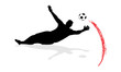 Goalkeeper In Action (6/12)