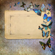 Vintage grunge background with blue butterflies