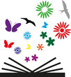 libro