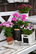 Frühling Garten Shabby