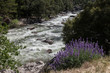 Yosemite National park