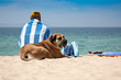 Mann und Hund am Strand mit Meerblick