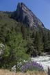 Yosemite National park